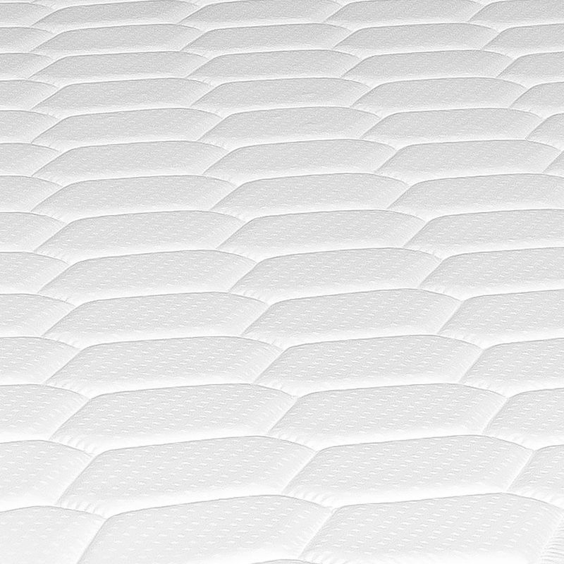 shp-33229-3