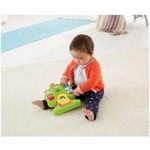 Fisher-Price-Actividad-Animales-en-Casa-Surtido