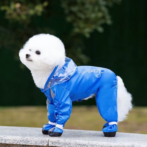Impermeable Completo Para Perros O Gatos Con Capucha Y Zapatos Azul Talla XS
