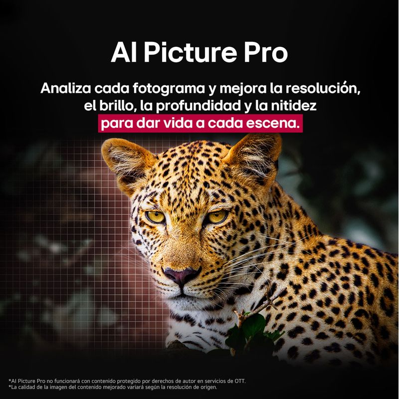 image-fc1dcaab8c524dedba1363c9f259d23a