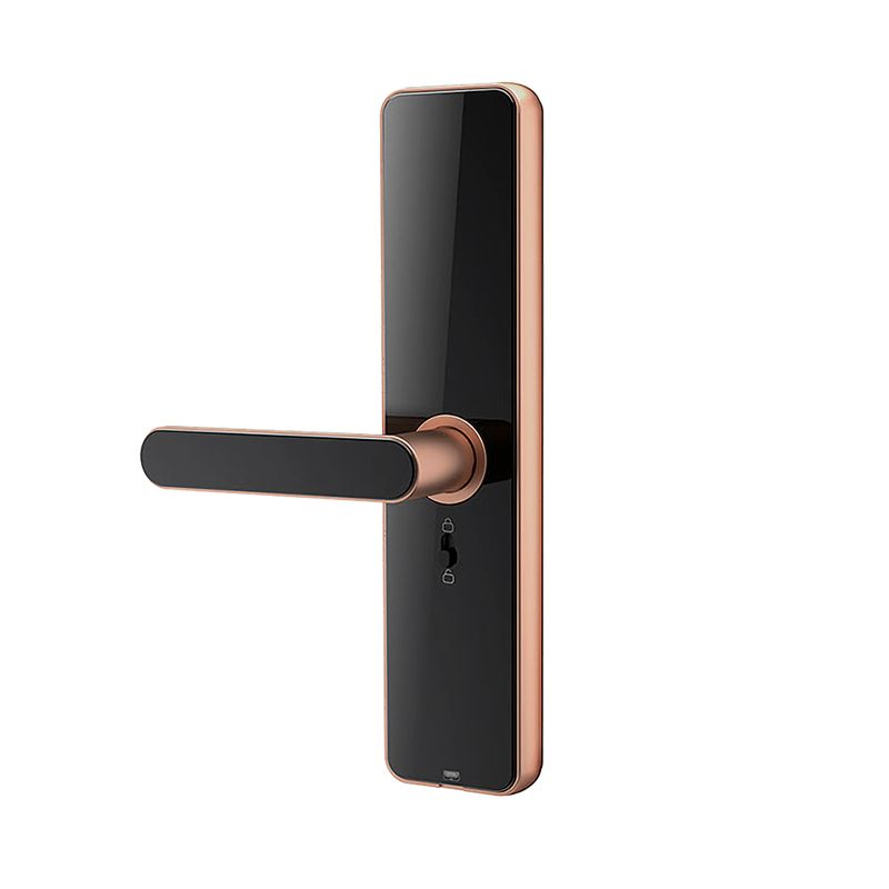 Cerradura-Inteligente-Wifi-Nexio-Hr02-Bronce