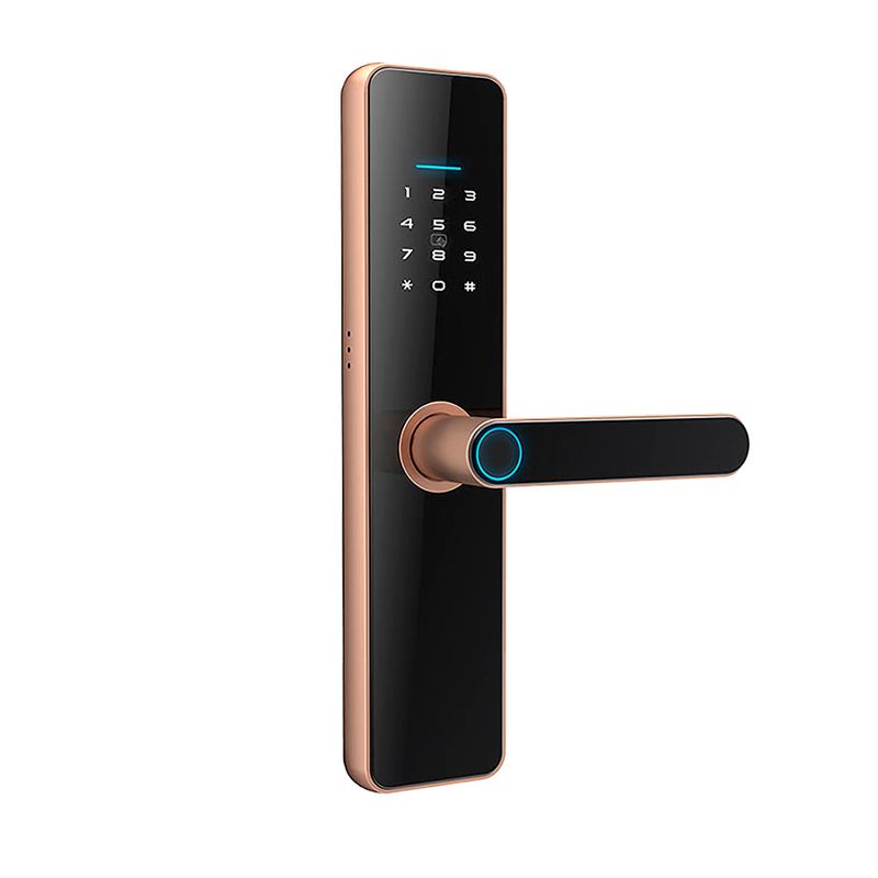 Cerradura-Inteligente-Wifi-Nexio-Hr02-Bronce