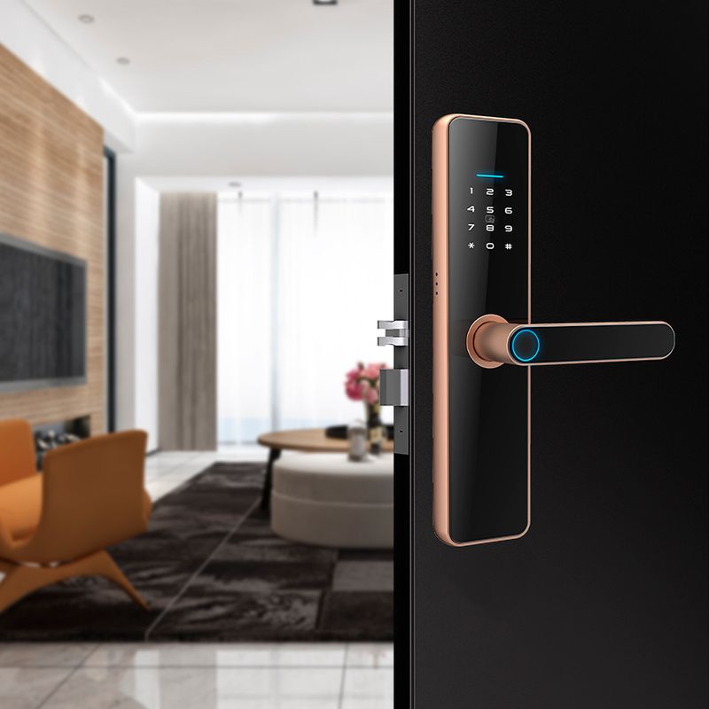 Cerradura-Inteligente-Wifi-Nexio-Hr02-Bronce