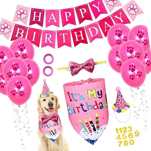 Kit Globo Decoracion Cumpleaños Para Mascotas Rosado