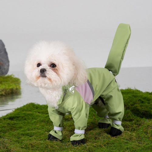 Impermeable completo verde para perros 2.5-4kg con capucha y zapatos