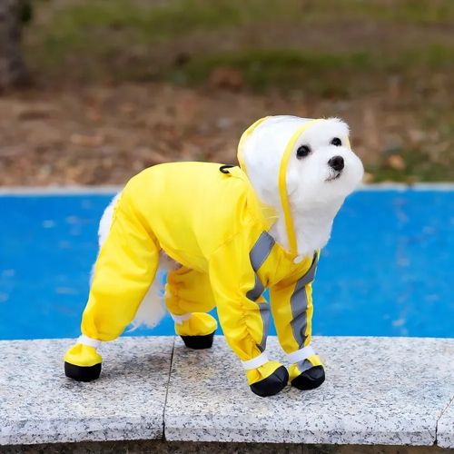 Impermeable Completo Para Perros O Gatos Raza Pequeña Con Capucha Y Zapatos Amarillo Talla S