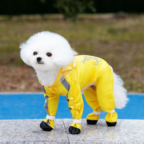 Impermeable Completo Para Perros O Gatos Raza Pequeña Con Capucha Y Zapatos Amarillo Talla L