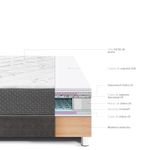 shp-17288-3