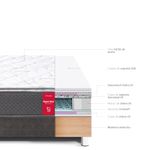 shp-17529-3