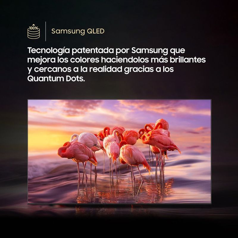 shp-2894317-4