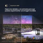 shp-2894317-5