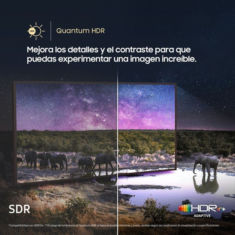 shp-2894317-5