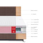 shp-1400576-4