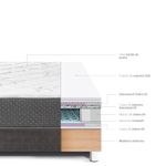 shp-1249596-3