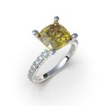 Anillo-Cushion-C