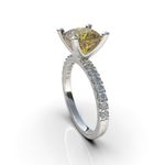 Anillo-Cushion-C