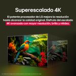image-cb626ae481e2468ba1d5022ae267096d