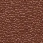 image-a566e6421e9a4b8ca98de36c4147b593