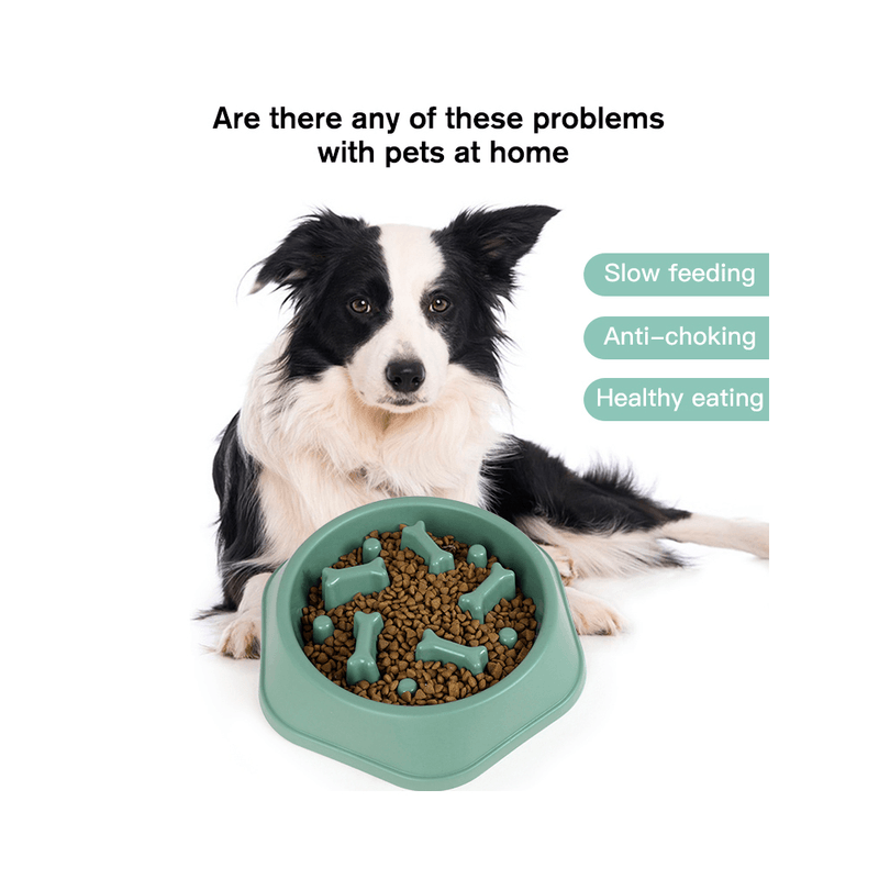 Comedero-Anti-ansiedad-para-Perros-Huesito-Verde