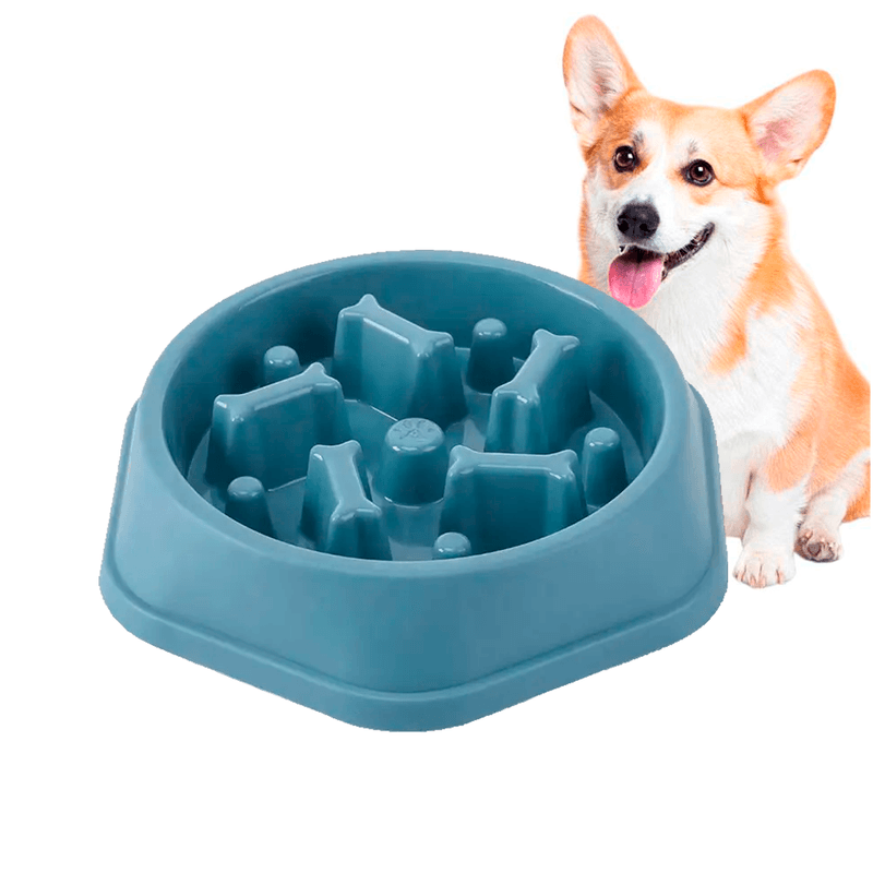 Plato-Antiansiedad-Para-Perros-Modelo-Huesitos---Turqueza