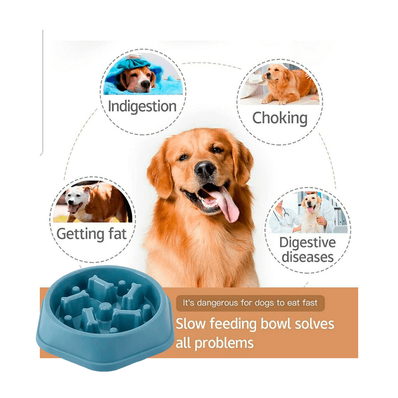 Plato-Antiansiedad-Para-Perros-Modelo-Huesitos---Turqueza