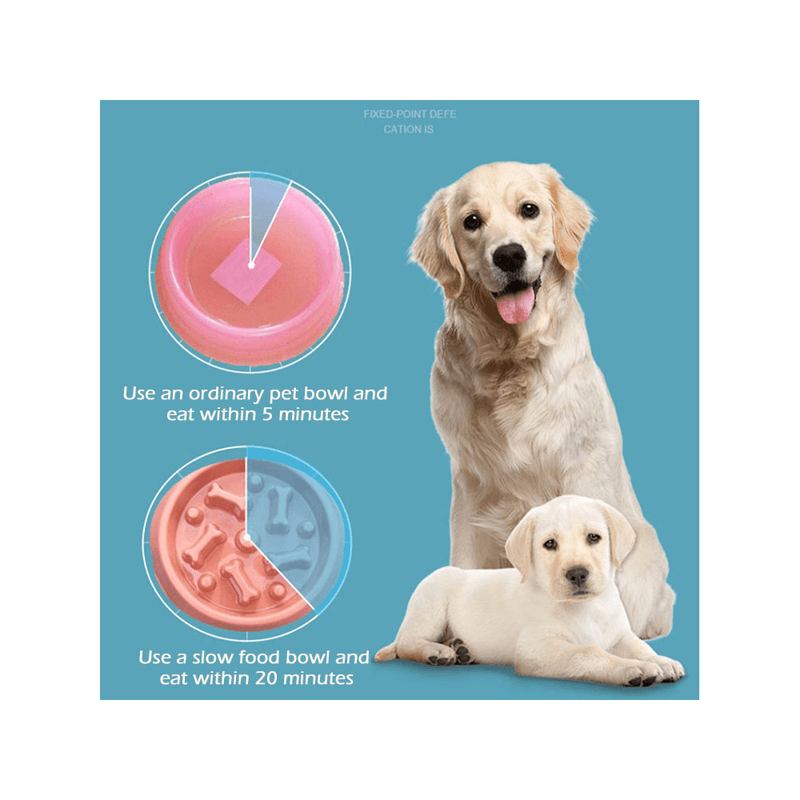 Plato-Antiansiedad-Para-Perros-Modelo-Huesitos---Turqueza