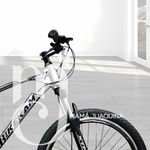 image-36008711404d4c3ab6a8a7adbd495374