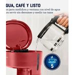 image-4137d73de46a4809b8eca1b9139de7ff