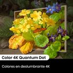 image-b130cbca3d354467920ed0522fbfb305