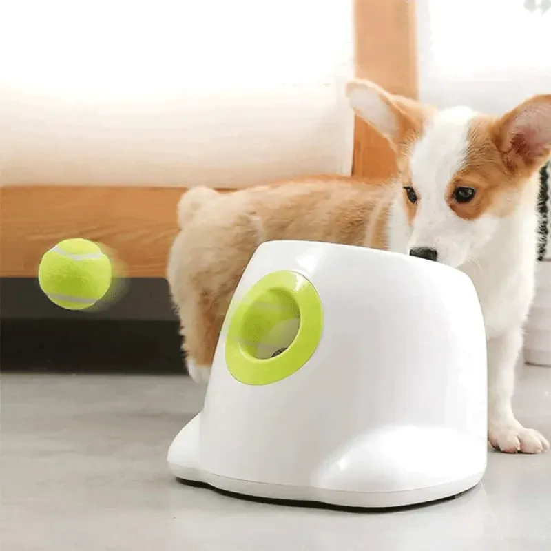 Lanzador-de-pelotas-automatico-para-perros