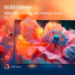 image-eceb99a99e0d4cbfad0df66078596f82