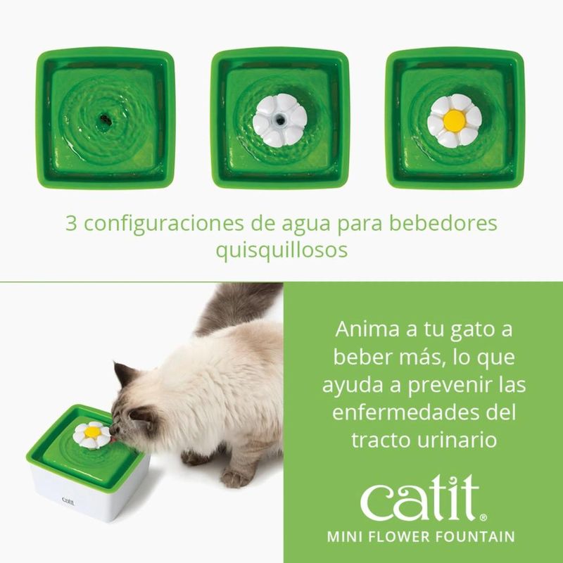 image-cea16d1949ea4bf8af5d1cbc7612e442