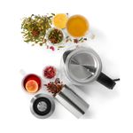 Hervidor-Oster-de-Vidrio-17Lt-Infusor-Seleccion-Temp-BVSTKT8990