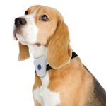 Collar-Ultrasonico-para-Perros-con-Prevencion-de-Ladridos