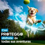 image-23cdf43331d44d6c8d70c02ba291d2b2