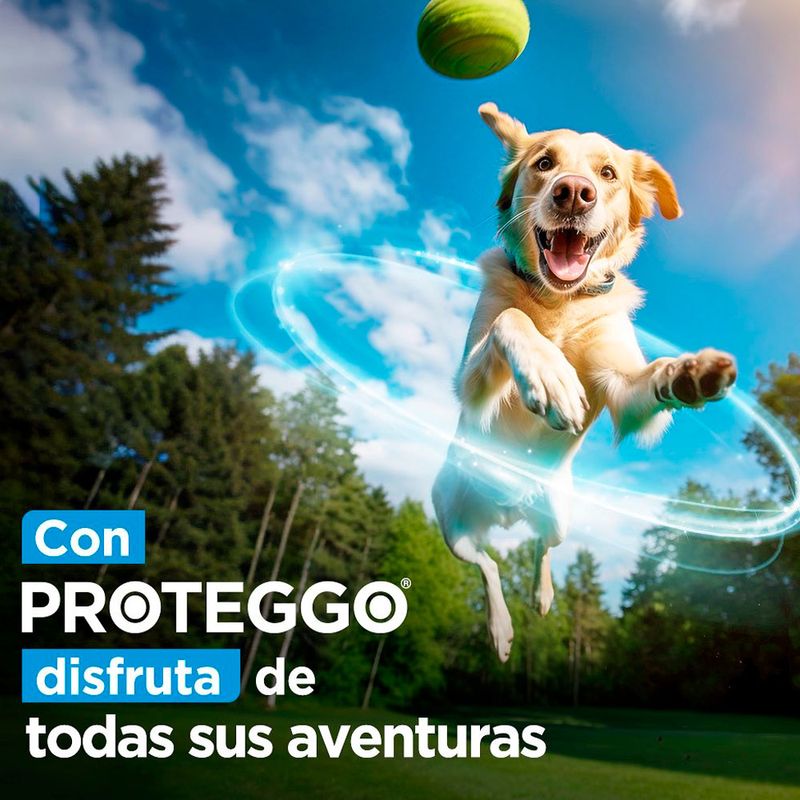 image-23cdf43331d44d6c8d70c02ba291d2b2