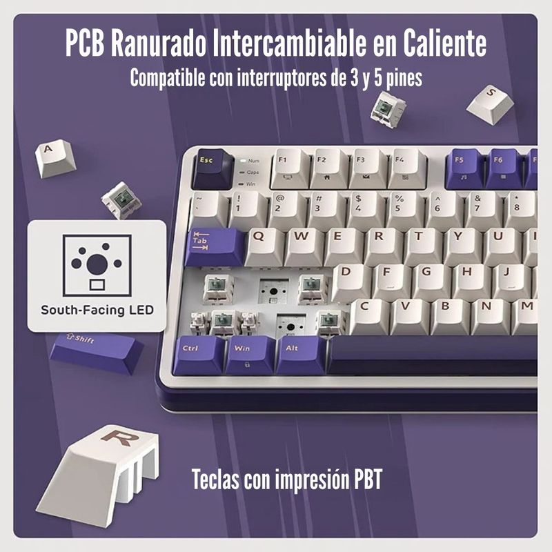 image-87a56b8e00e446bda29a769bac5055f5