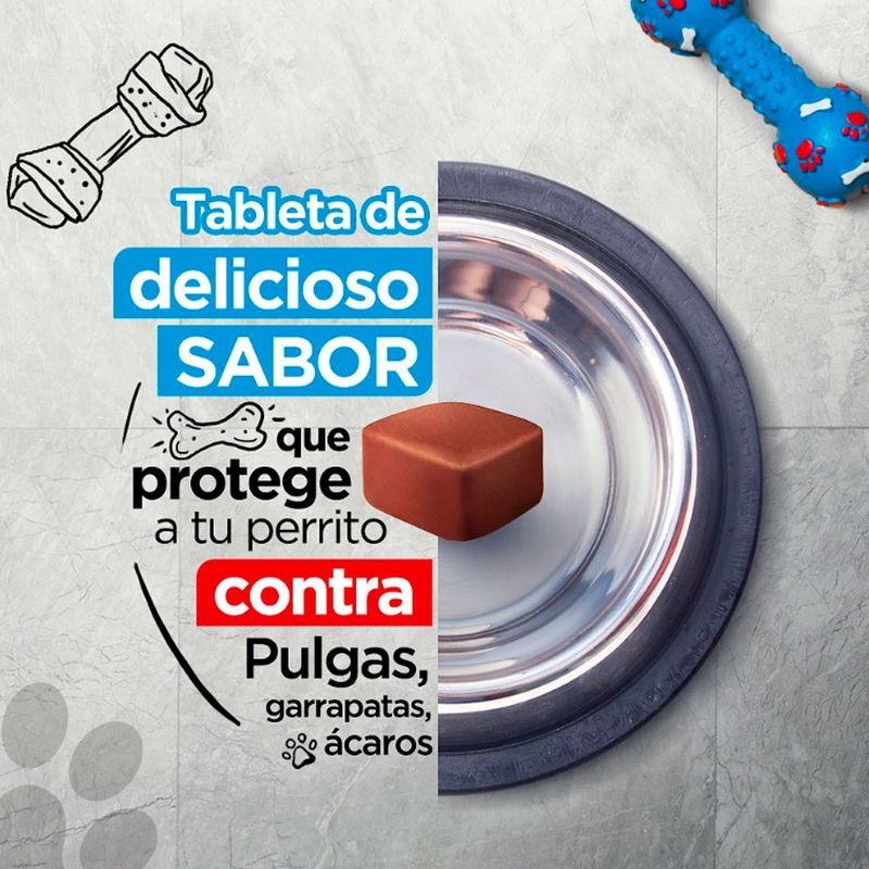 image-e399177b40904ce48889697de2ea8dd7