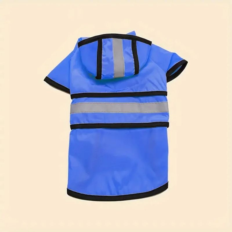 image-2abbac892db04e37892e13723e9fe539