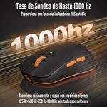 image-a430d95dd8f443a1bc51a22c1c7b704f