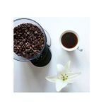 Molinillo-Automatico-de-Cafe-Oster-BVSTBMH23