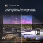 shp-2895775-5