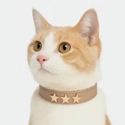 Collar para gatos Estrella Miau – Beige