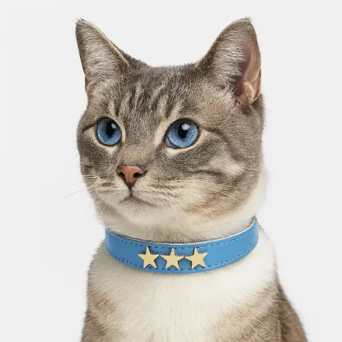 Collar para gatos Estrella Miau – Celeste