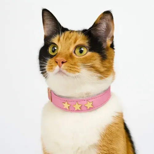 Collar para gatos Estrella Miau – Rosado