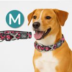 Collar-para-Perros---Premium-Leopard-M