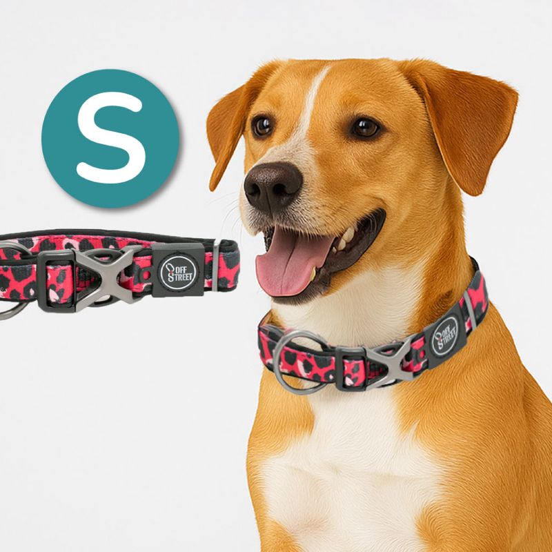 Collar-para-Perros---Premium-Leopard-S