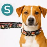Collar-para-Perros---Premium-Camouflage---S