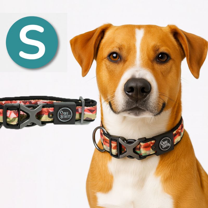 Collar-para-Perros---Premium-Camouflage---S