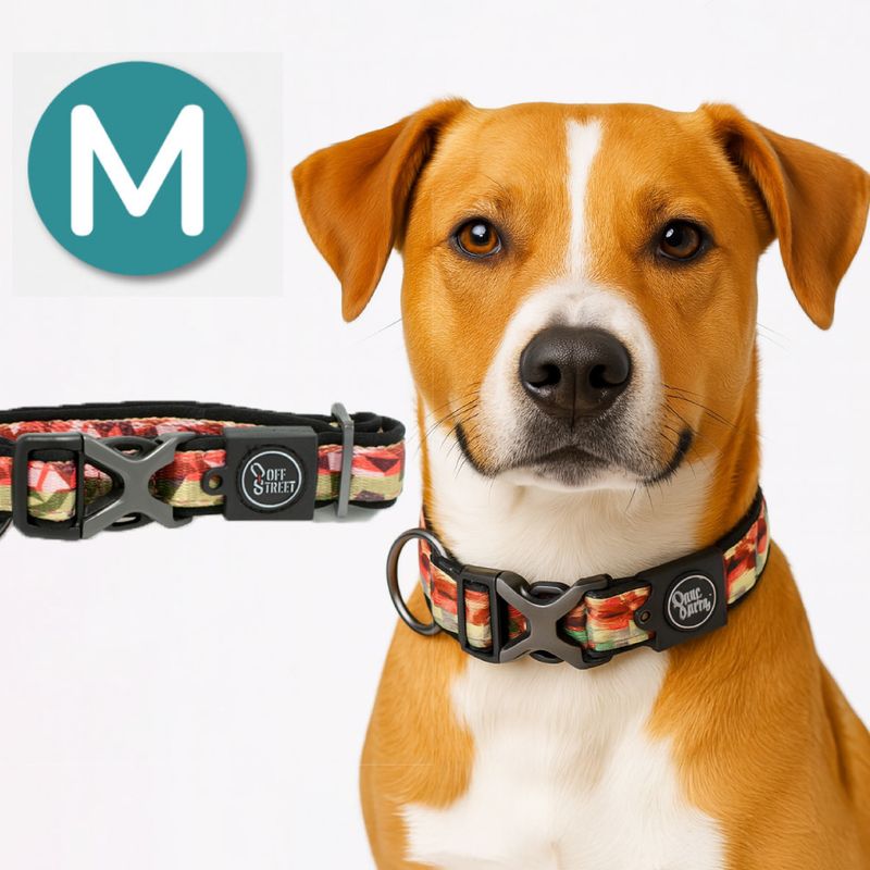 Collar-para-Perros---Premium-Camouflage-M